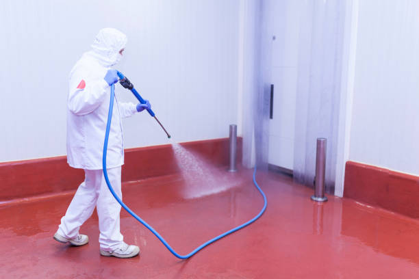 Best Paint Preparation  in Nettleton, MS