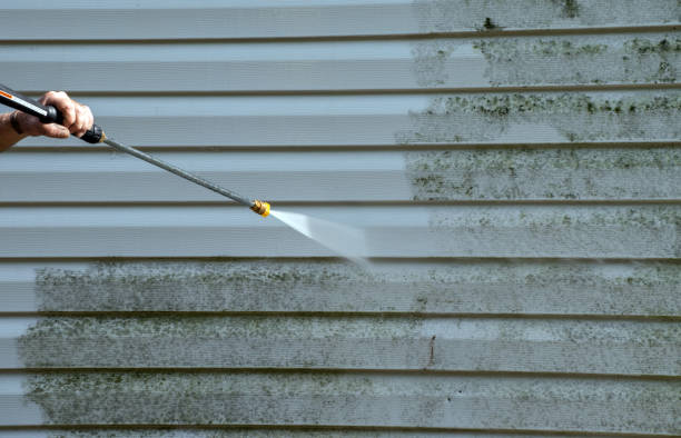 Best Sidewalk and Walkway Cleaning  in Nettleton, MS