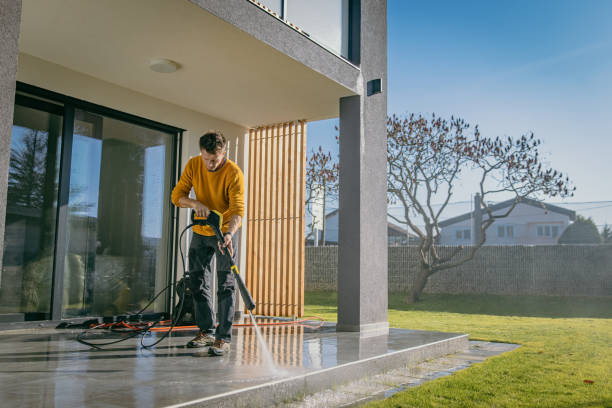 Best Solar Panel Cleaning  in Nettleton, MS